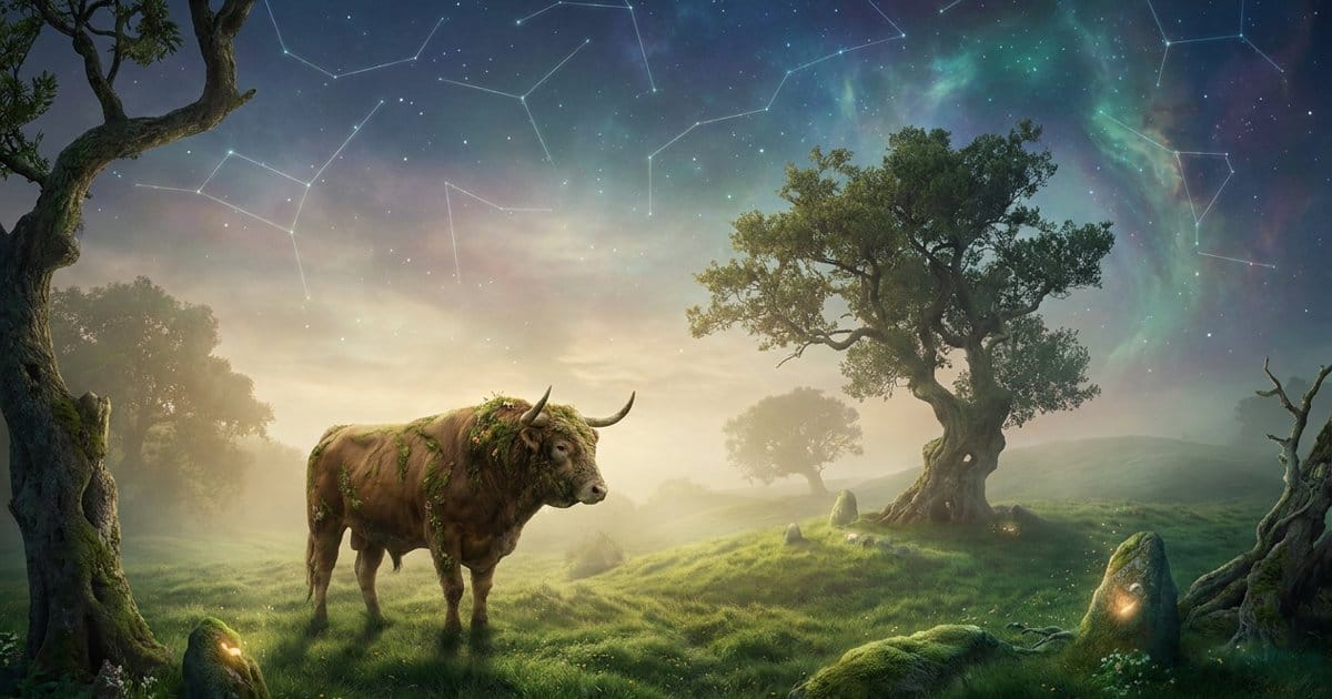Stier heute