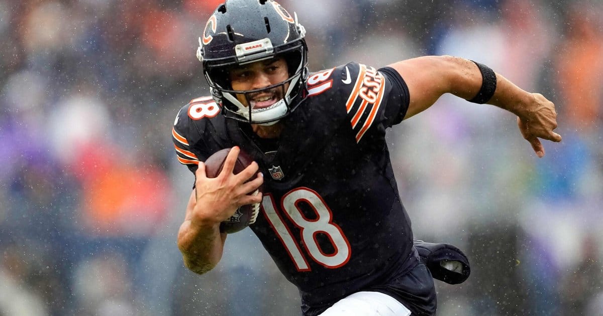 Bears bangen um Williams
