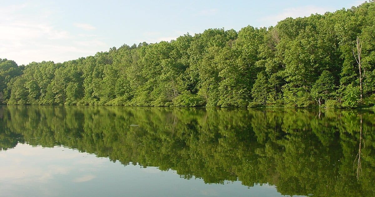 Pannen-Hinrichtung in Tennessee