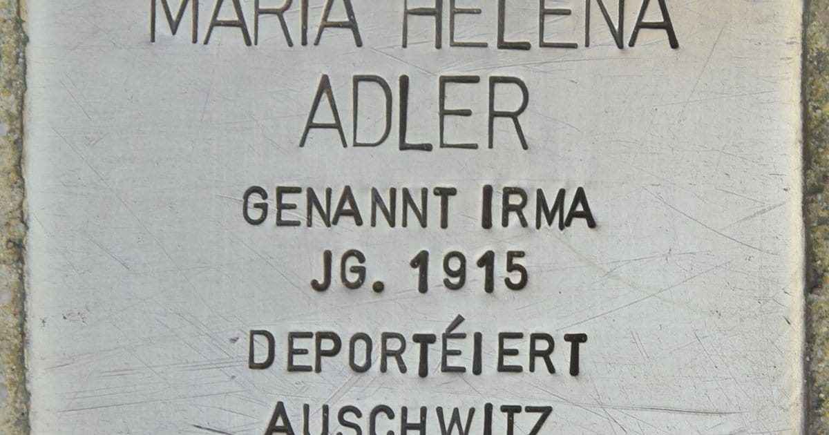 Neue Texte von Helena Adler