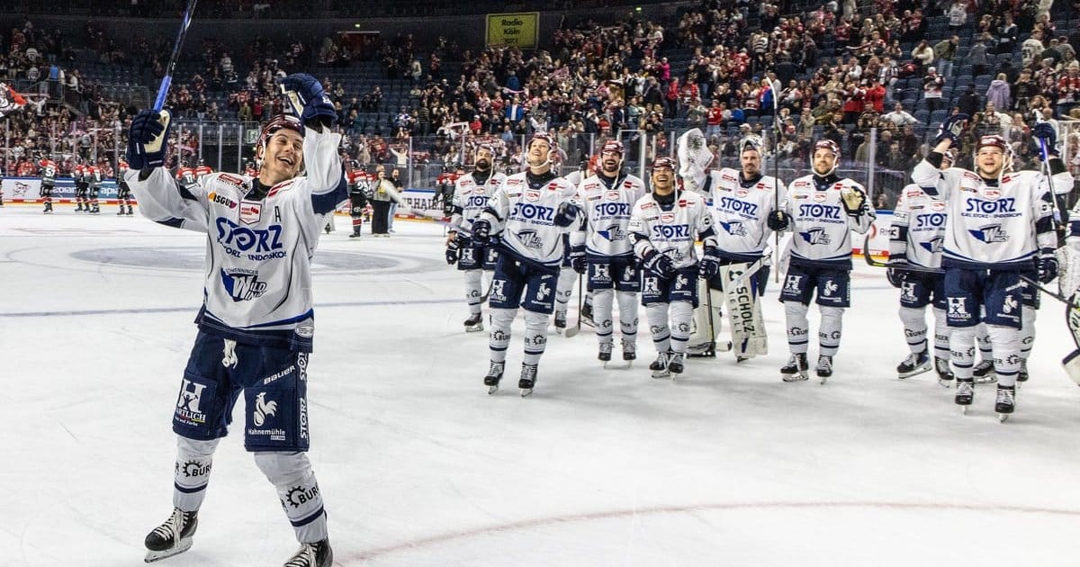 Wild Wings schlagen brutal zurück