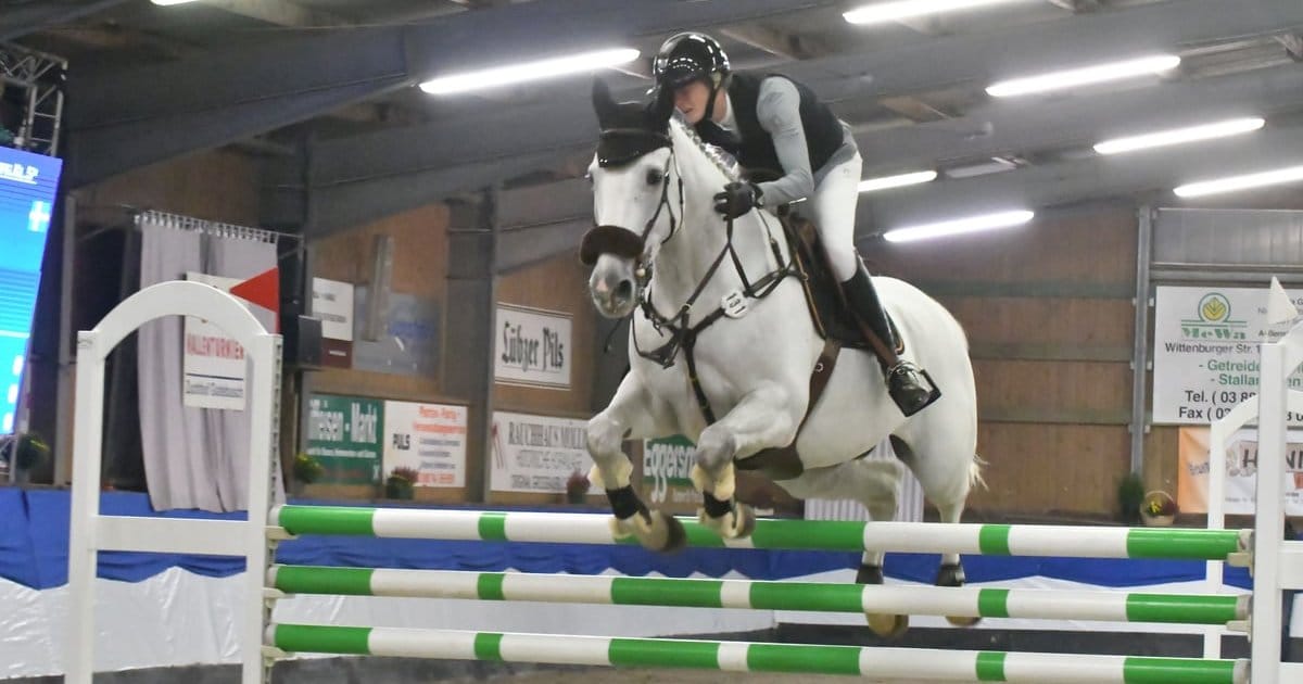 Springelite kommt nach Gadebusch