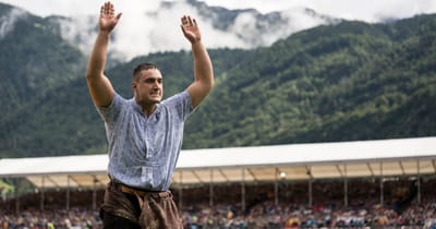 Schlegel greift nach ganz oben