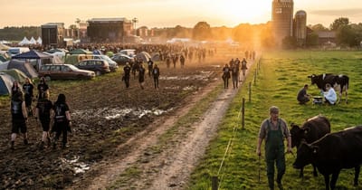 Wacken zwischen Acker und Millionen