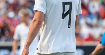 Haalands Waschbär spaltet Fans