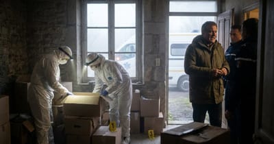 Fünf tote Babys in Wohnung entdeckt