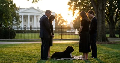 Obama-Hund Sunny ist tot