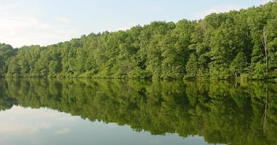 Pannen-Hinrichtung in Tennessee