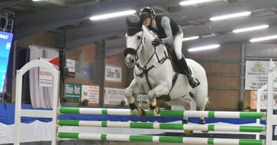 Springelite kommt nach Gadebusch